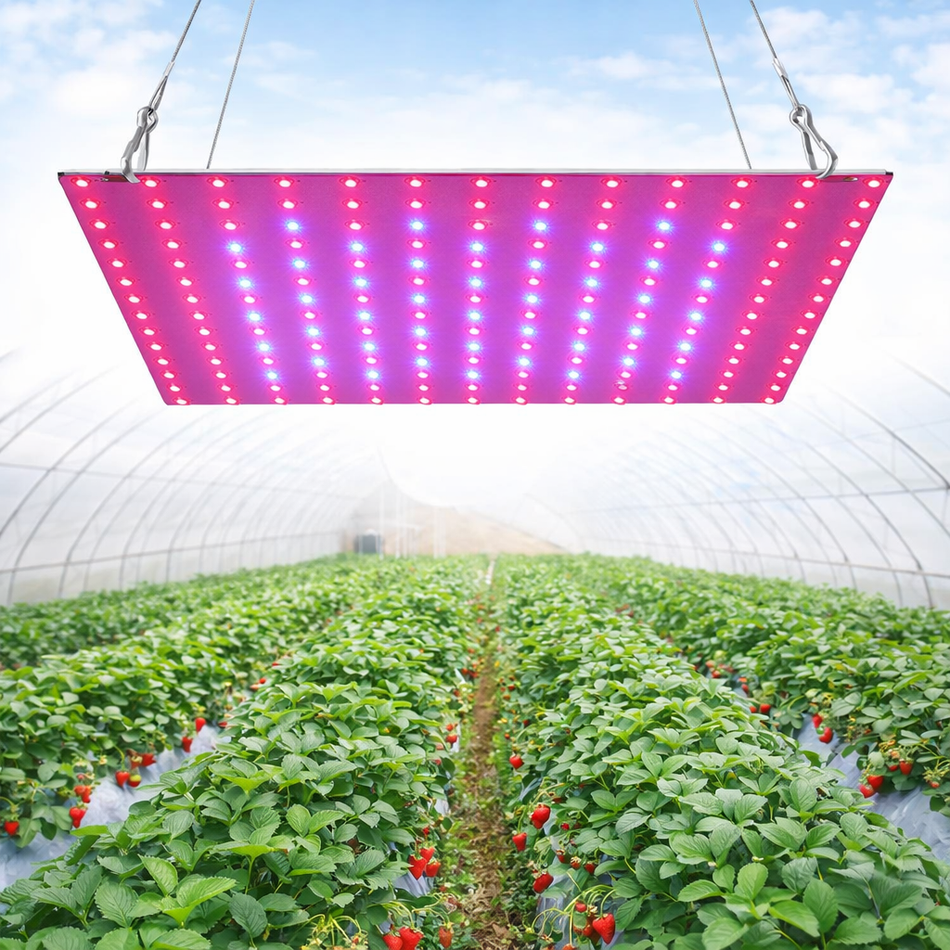 LED Pflanzenlampe 169 LEDs Vollspektrum - 2000W Grow Light für Indoor Pflanzen