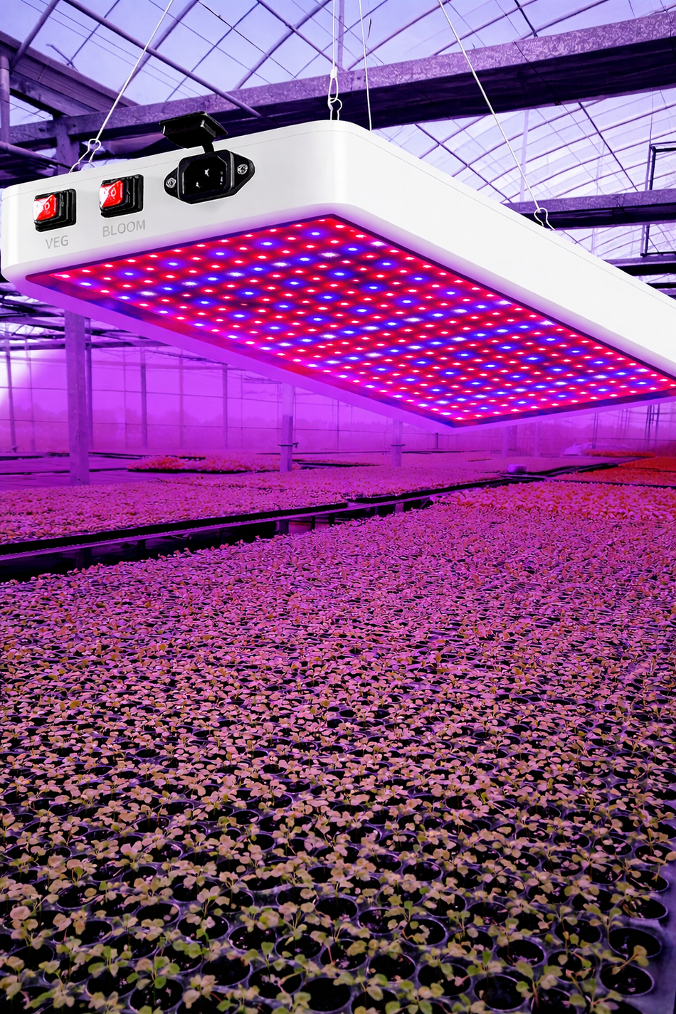 LED Pflanzenlampe Vollspektrum - 216/312 LEDs mit 3 Modi für Indoor-Pflanzen