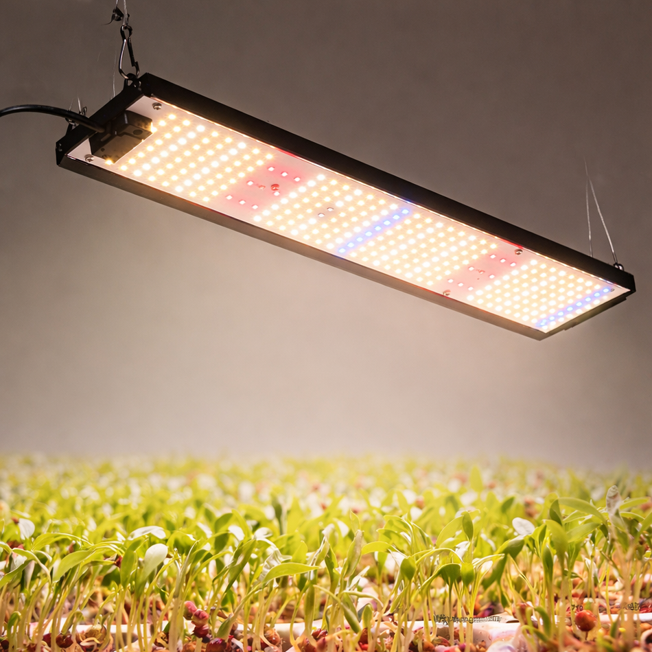 LED Pflanzenlampe 85W Vollspektrum – Ultraflach & Lautlos | Für Grow Tent & Gewächshaus