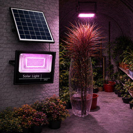 Solar-Pflanzenlampe beleuchtet Pflanzen im Gewächshaus.
