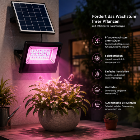 Solar-Pflanzenlampe mit Solarpanel und Vorteilen für Pflanzenwachstum.
